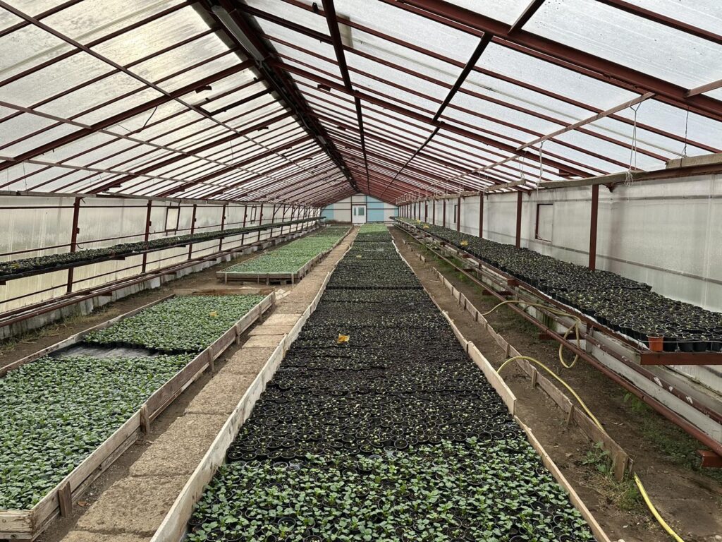 408811358_899870971941471_1211296555479279591_n