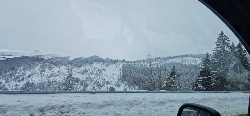 c502c67e-da5b-4e8f-aad2-345c751cfcae