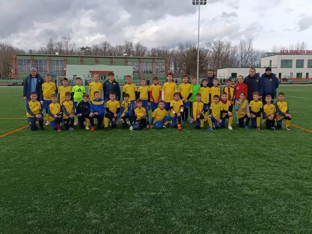 acs vulpitele galbene