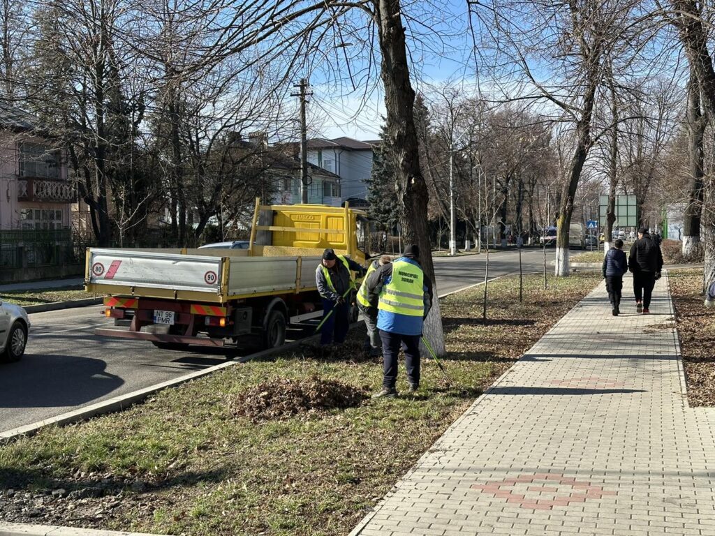 curatenie de primavara