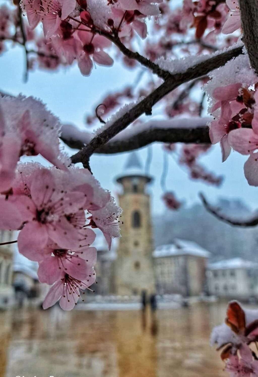 433678658_462121926488212_7351697470298903916_n