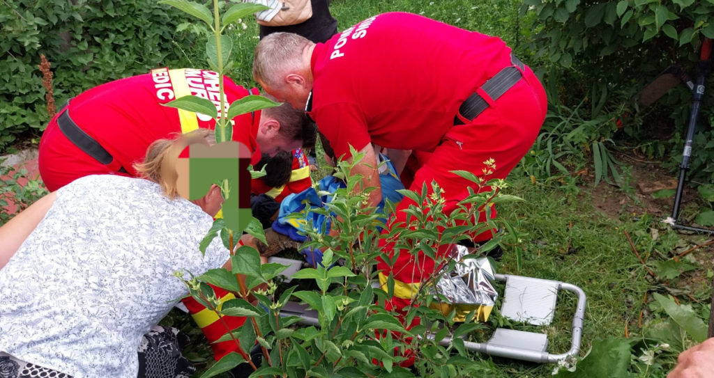 Screenshot - 2024-06-24T192414.955