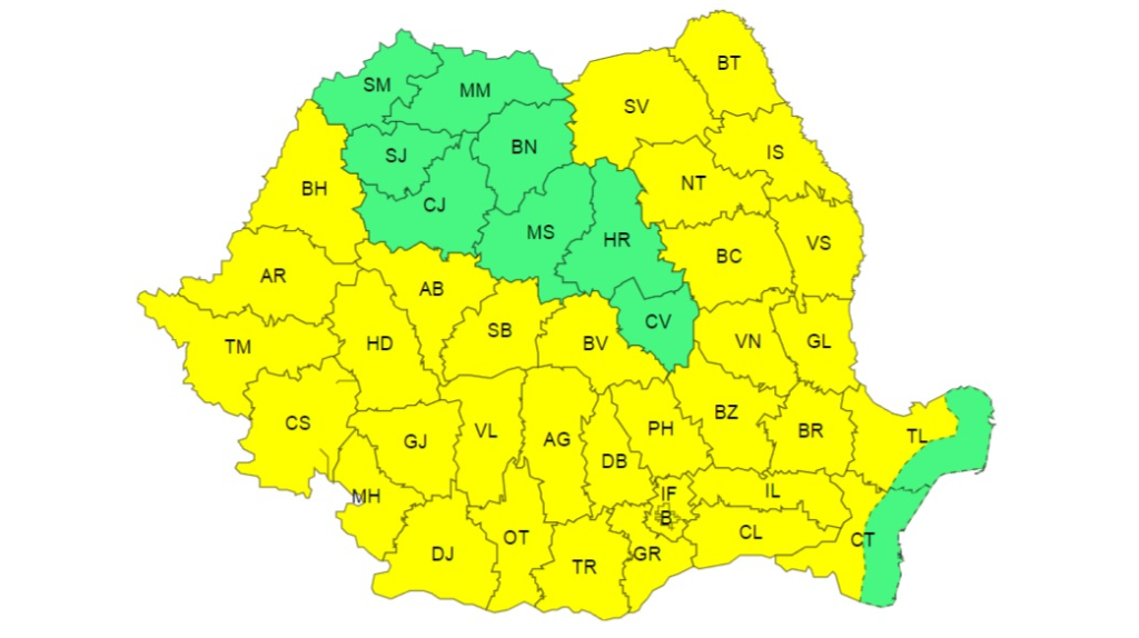 Screenshot - 2024-06-30T103306.906