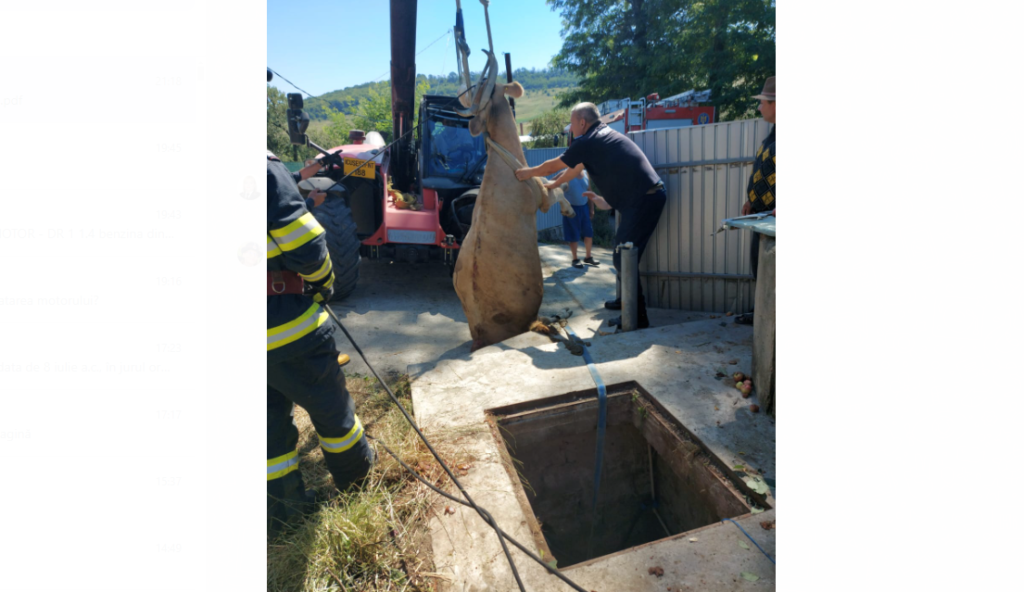 Screenshot - 2024-07-08T215908.634