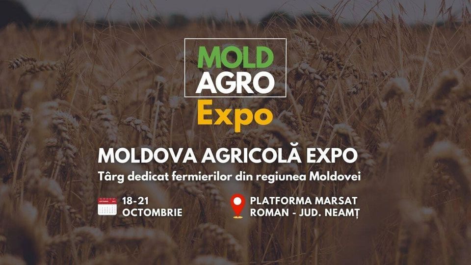 450251606_983243743808649_2262891225080673470_n