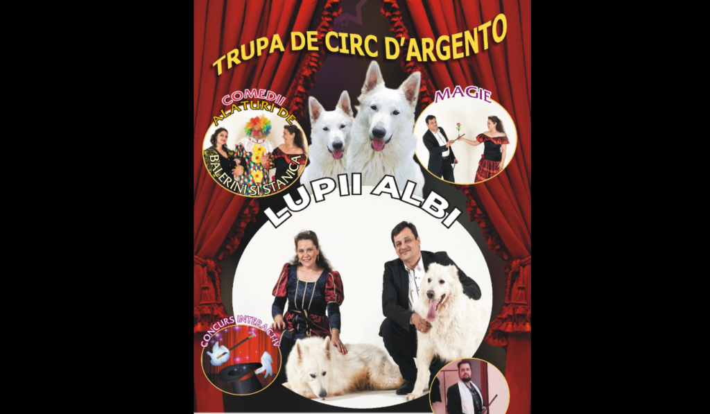 Screenshot - 2024-09-07T095759.811