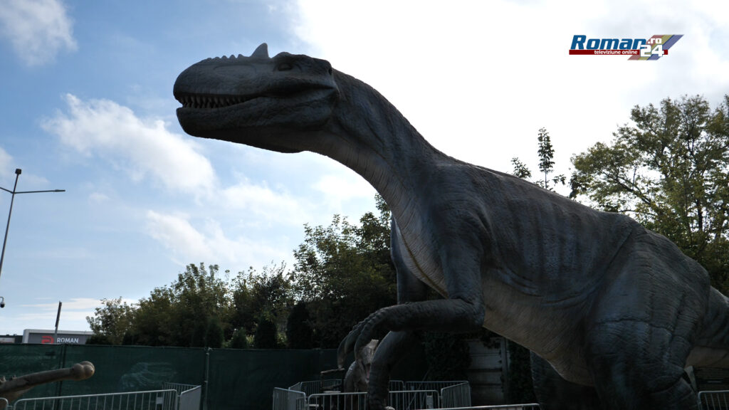 P1047155.00_02_43_02.Still002