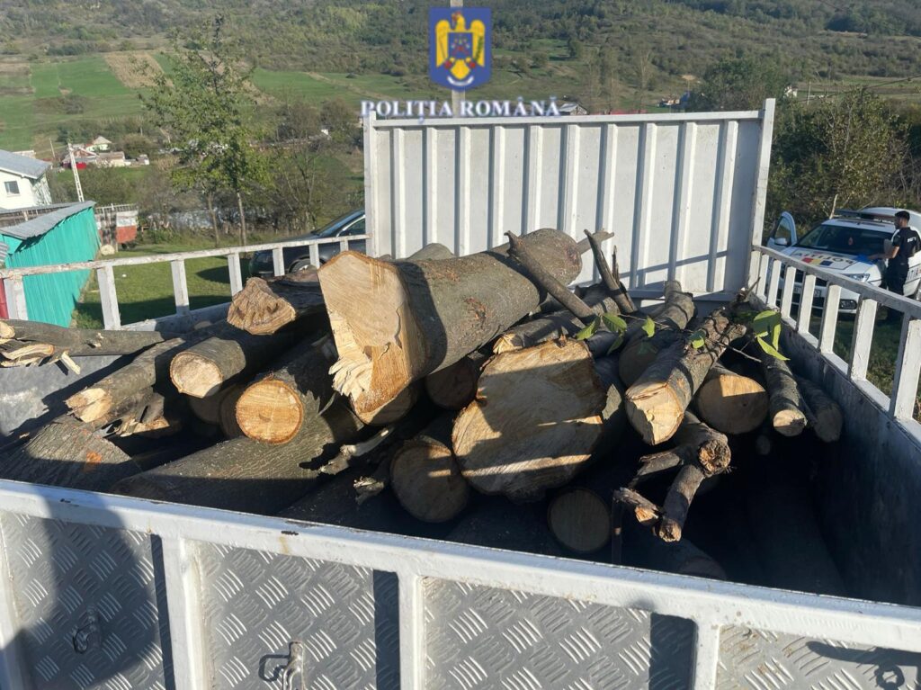 WhatsApp Image 2024-10-04 at 14.11.12