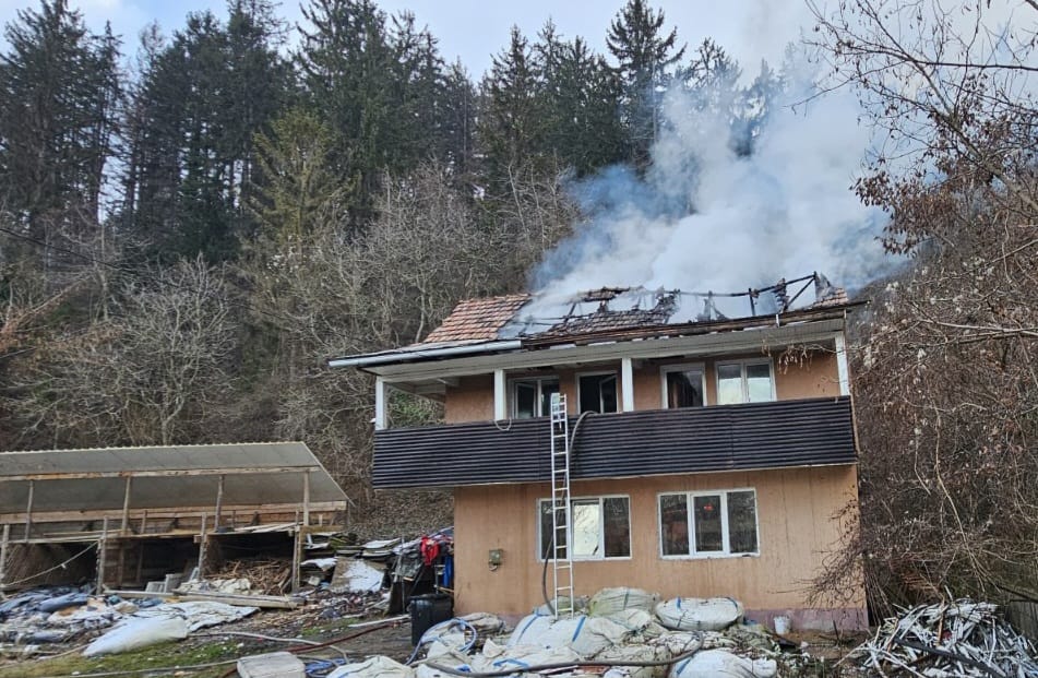 WhatsApp Image 2024-12-14 at 20.30.43