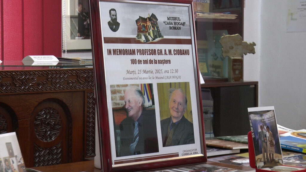 P1047951.00_10_30_27.Still002