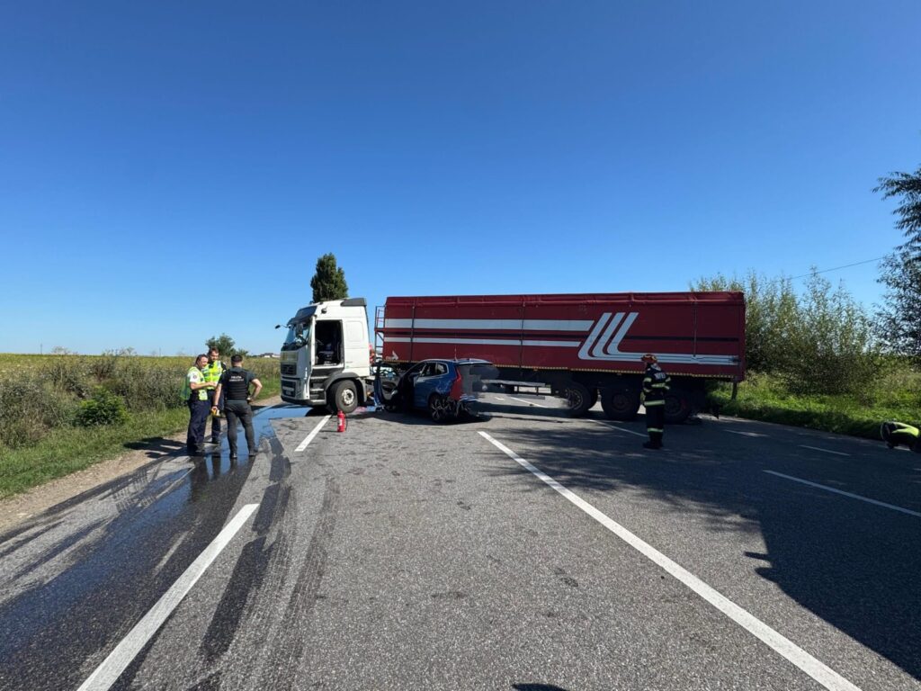 f4019dd5-5c39-4c13-8d81-cdc973df3a6c