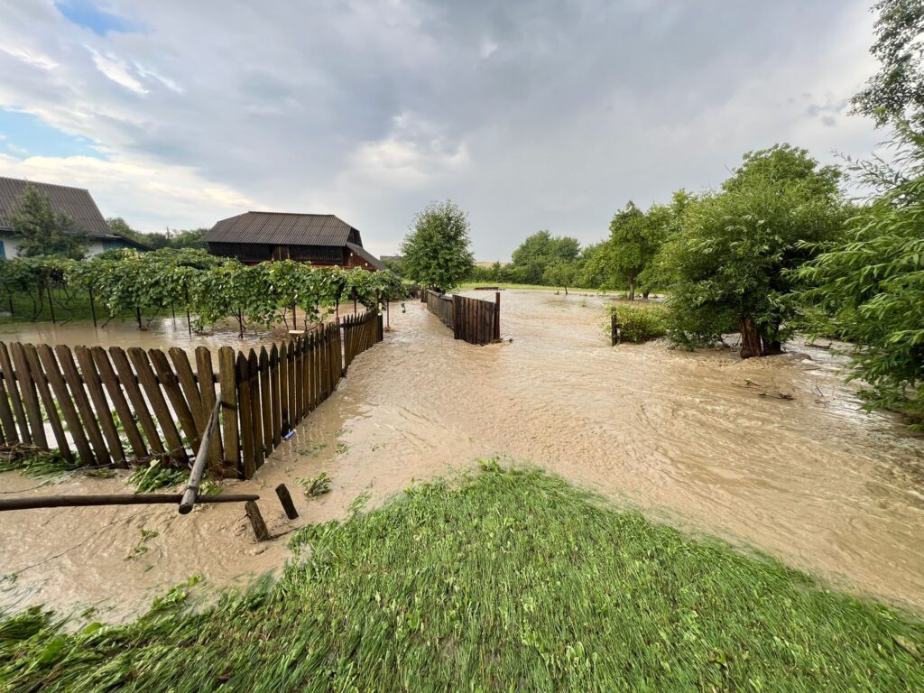 3e6fd4f0-0599-4542-af4a-7e307ed3d2e0