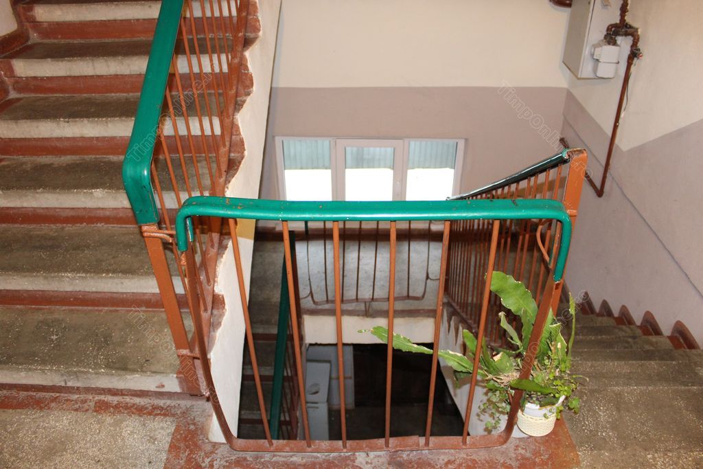 casa scarii roman mort