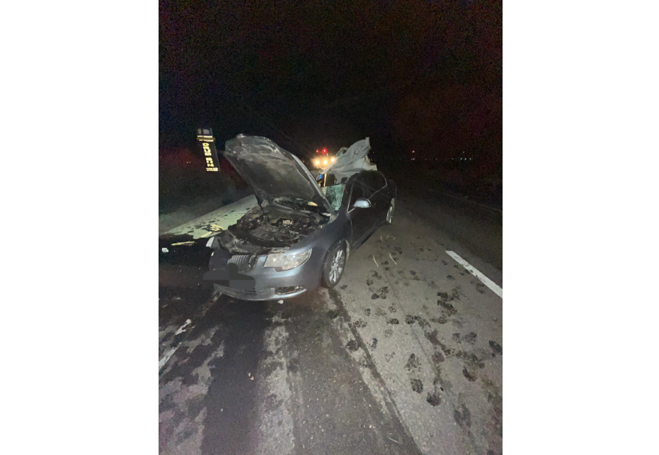 accident e85 sabaoani