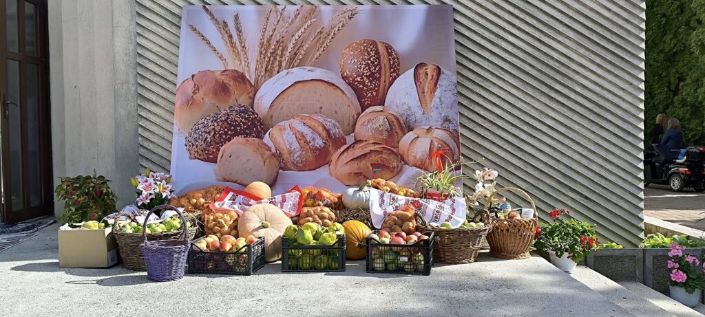 555509267_855531153504724_4717065259418081861_n