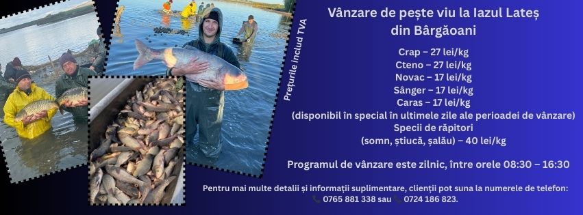 Iazul Lateș Bârgăoani
