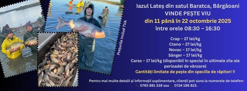 Iazul Lateș Bârgăoani