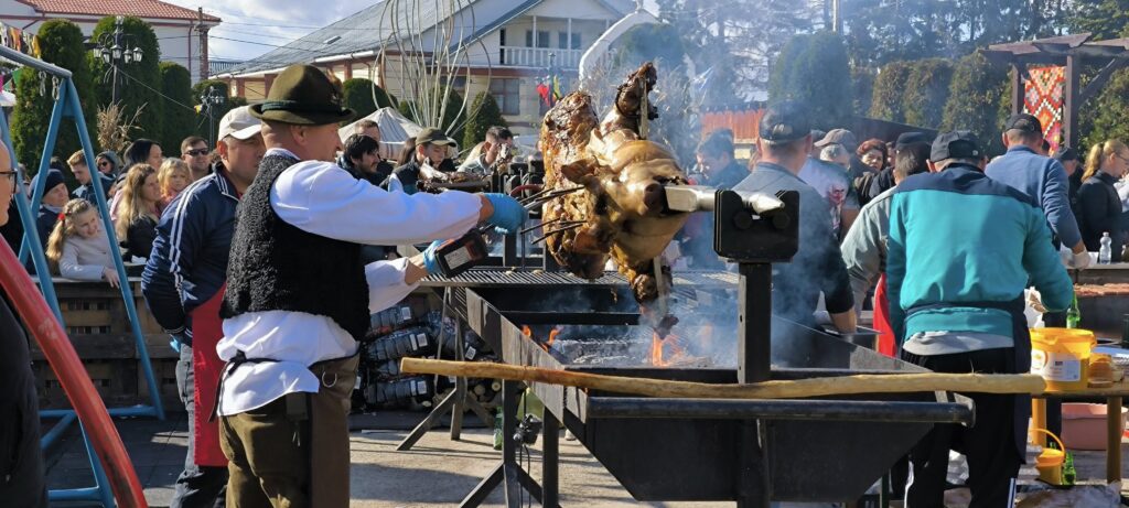 566228568_877059108018595_8767333060509374000_n