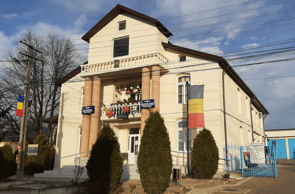 primaria ion creanga