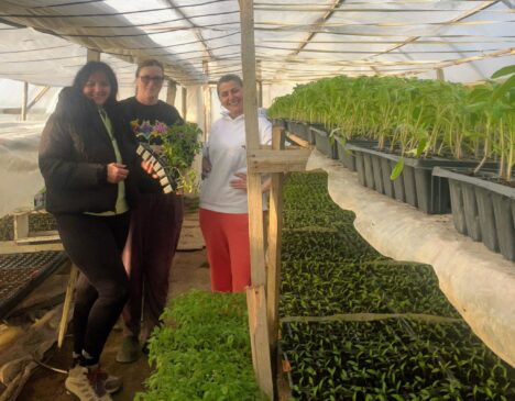 649176473_34233129649668685_7227635649498093009_n