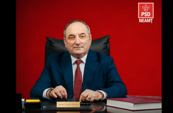 psd neamt