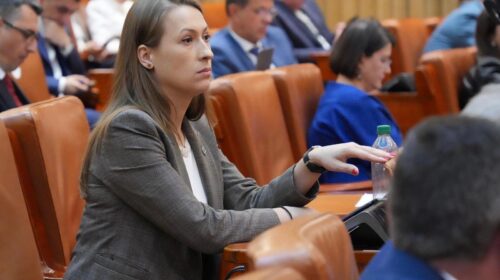 Neacșu Andreea-Firuța