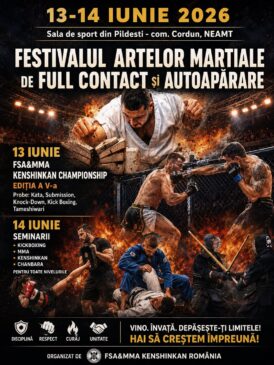 festivalul artelor martiale 2