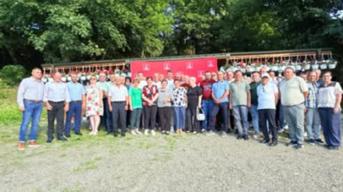 psd ion creanga