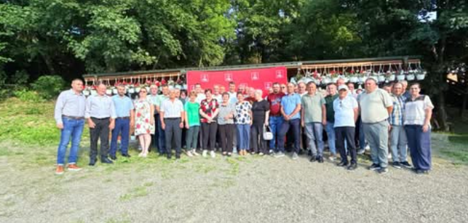 psd ion creanga