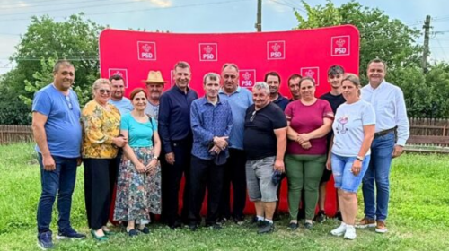 psd pancesti