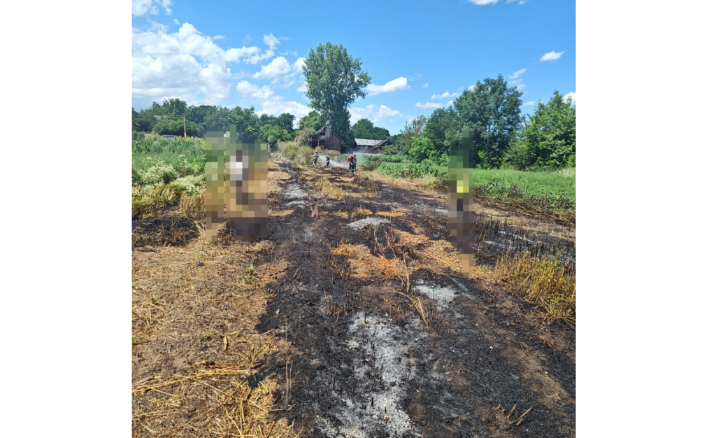 incendiu vegetatie