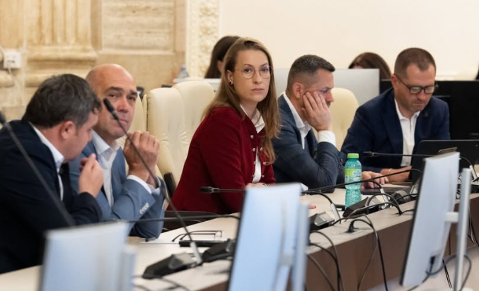 Neacșu Andreea-Firuța