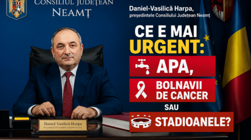 Daniel-Vasilică Harpa