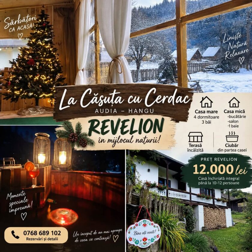 La casuta cu cerdac Audia Hangu